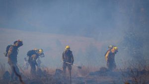 Conaf regional de La Araucanía pide extender alerta roja por incendios forestales