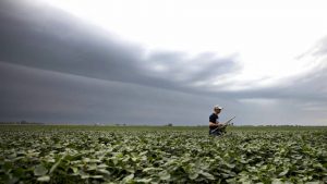 El clima será este año la pieza clave en el suministro mundial de alimentos