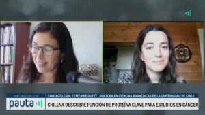 [VIDEO] Un Día Perfecto - Científica descubre proteína contra el cáncer