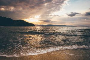 Nueve filmes dedicados al carácter sublime del mar