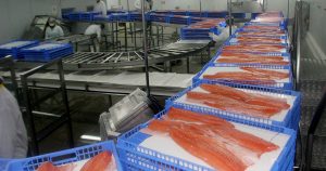 El súper rey de los alimentos