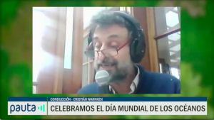 Desde el jardín - 8 de junio 2020