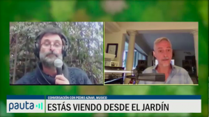 Desde el jardín - 6 de julio 2020