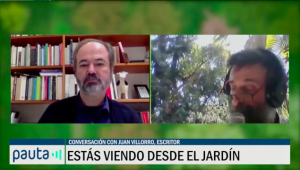 Desde el jardín - 7 de julio 2020