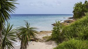 Las islas caribeñas buscan la reapertura del turismo con playas y cero muertes Covid