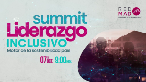[Video] REDMAD - Summit Liderazgo Inclusivo