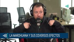 El funcionamiento de la marihuana en el cerebro