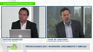 [VIDEO] De Gregorio 201105 SEMINARIO MUTUAL