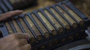 El Covid no detiene el consumo de puros y ayuda a República Dominicana