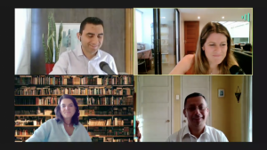 210106 Primera Pauta Panel