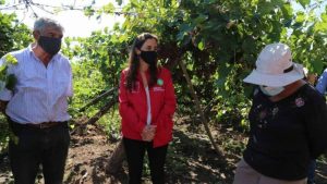 Ministra de Agricultura: 