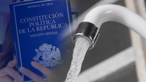 Mi Constitución en 60 palabras: ¿Qué hacer con el derecho al agua?