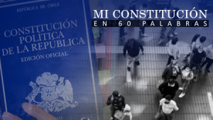 Mi Constitución en 60 palabras