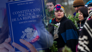 Mi Constitución en 60 palabras: los planteamientos de los candidatos mapuches