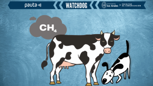 ¿Las vacas contaminan?