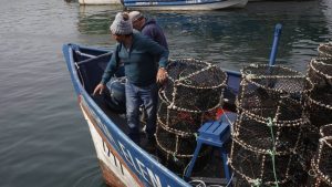 Gremio de industrias pesqueras: “Debemos contribuir a generar prosperidad