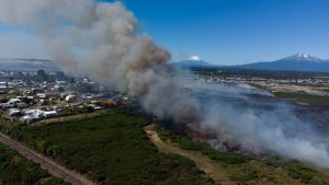 Conaf: el 50% de los incendios forestales son intencionales