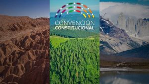 Comisión de M. Ambiente y Modelo Económico de la Convención discute primeras normas