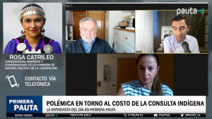 [VIDEO] Primera Pauta | Convencional Rosa Catrileo