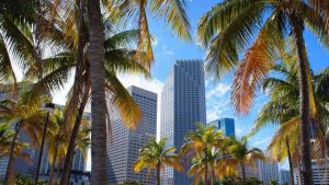 El Radar de Plaza Pauta: Miami es la ciudad imparable de Estados Unidos