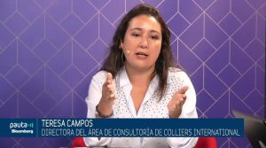 311018 - PAUTA Bloomberg - Teresa Campos - Precio