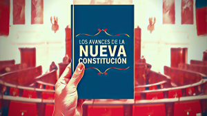 Constitución en desarrollo: los artículos que entran a la propuesta definitiva