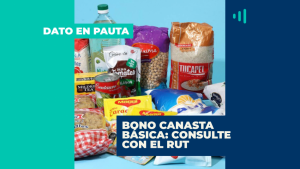 Bono Canasta Básica: consulte con el RUT cuándo es el pago de este beneficio