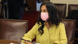 Senadora Núñez (RN) y Plebiscito: 