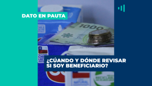 Bono Chile Apoya Invierno: el pago comenzará el 5 de agosto