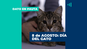 ¿Por qué se celebra el 8 de agosto el Día del Gato?