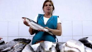 ¿Cuándo pagan el Bono Mujer Trabajadora y de cuánto es su monto?