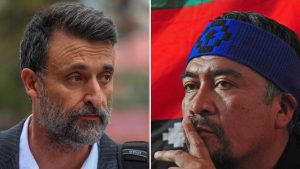 Warnken y detención de Llaitul: 