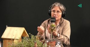 El largo viaje de Valeria Sarmiento