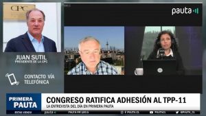 juna sutil gobierno boric