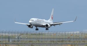 Combustible a base de grasa animal puede transformar la aviación