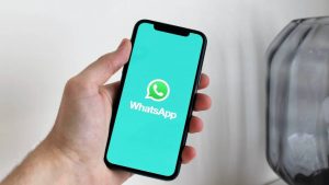 WhatsApp lanza posibilidad de encontrar un negocio directamente en la aplicación