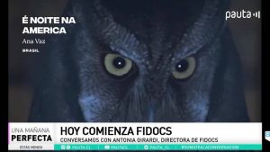 Comienza el Festival Internacional de Documentales de Santiago, FIDOCS