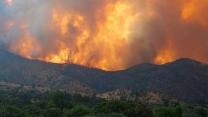 Incendios forestales: ¿Cómo se evalúa la reacción del Gobierno?