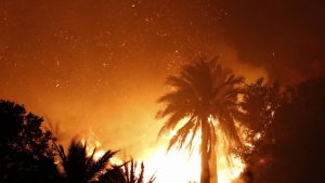 ¿De cuánto es el bono que entrega el Gobierno por incendios en Viña del Mar?