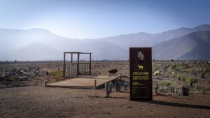 Dominga: Andes Iron recurrirá ante los Tribunales Ambientales para revertir decisión del Comité de Ministros