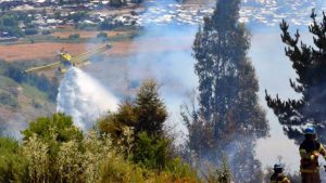 Fuego en Curacaví: Decretan Alerta Roja por incendio forestal