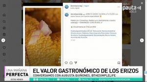 Augusta Quiñones: El valor gastronómico de los erizos de mar