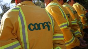 Conaf anuncia cierre de siete parques nacionales por riesgo a incendio forestal