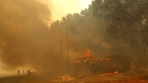 Alcalde de Concepción e incendios en Bio Bio: 