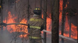 Gobernador de La Araucanía: 
