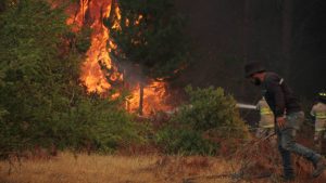 Fiscalía Nacional entrega balance de los detenidos por incendios forestales