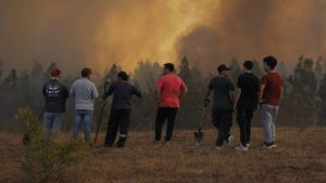 Balance incendios forestales: 84 siniestros están en combate y van 1.180 casas destruidas