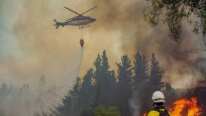 Balance de los incendios forestales: 94 siniestros en combate y 1.250 viviendas afectadas