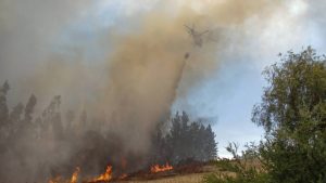 Balance de los incendios forestales: 82 siniestros en combate y  1.493 viviendas afectadas
