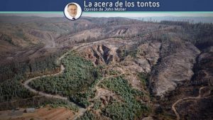 El papel de las forestales… y del extremismo mapuche